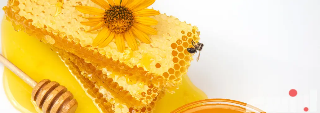 Rashof Natural Honey logo